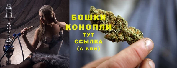 mdpv Богородицк