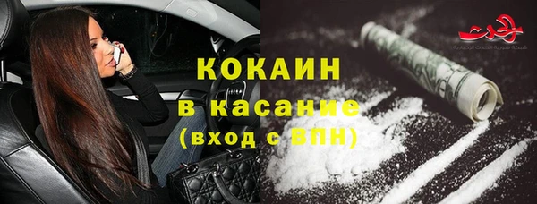 mdpv Богородицк