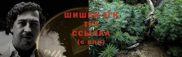 mdpv Богородицк