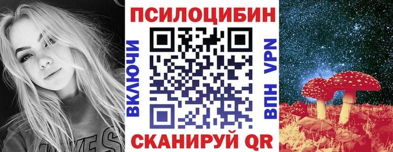 Псилоцибиновые грибы Psilocybine cubensis  закладка  ссылка на мегу   Снежногорск 
