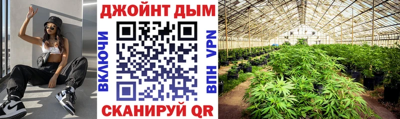 Шишки марихуана конопля  продажа наркотиков  мега сайт  Снежногорск 